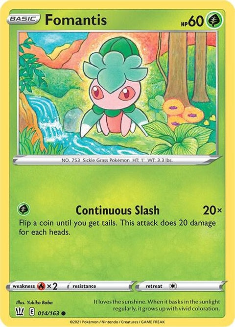 14-fomantis