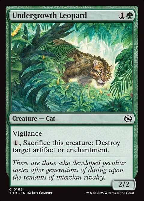 165-undergrowthleopard
