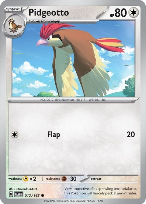 17-pidgeotto