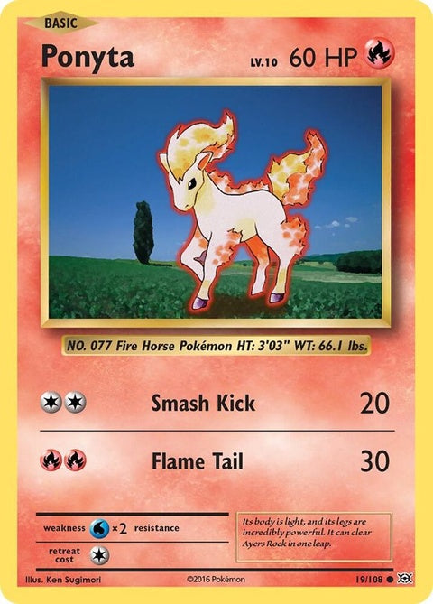 19-ponyta