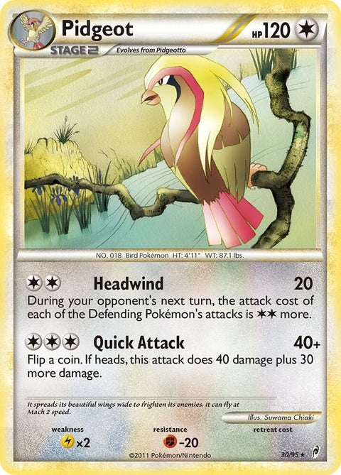 30-pidgeot