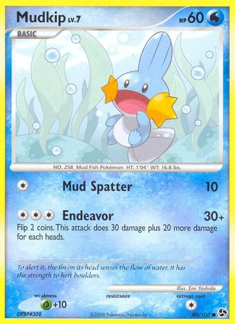 80-mudkip