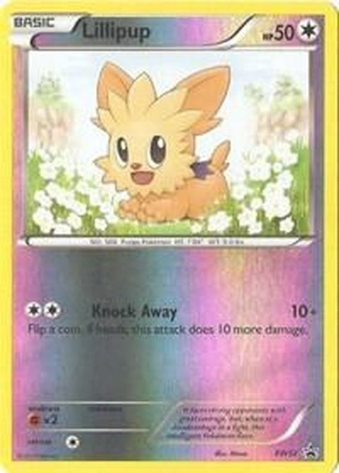 bw52-lillipup