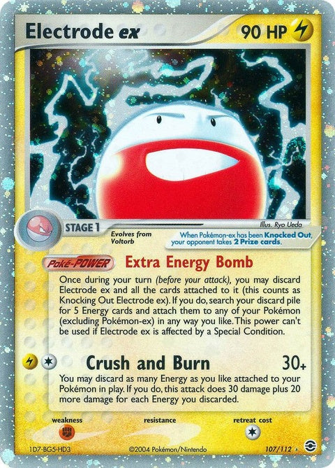 107-electrodeex