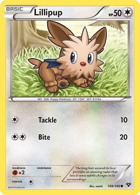 108-lillipup
