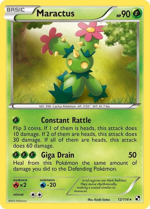 12-maractus