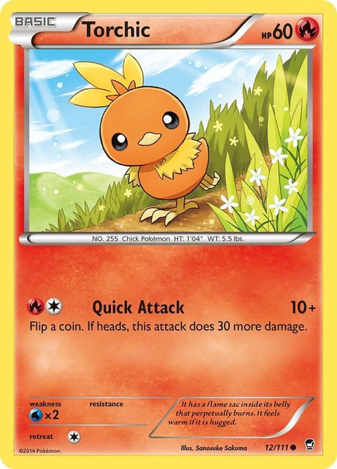 12-torchic