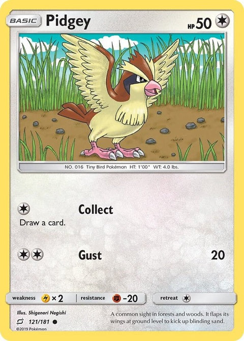 121-pidgey