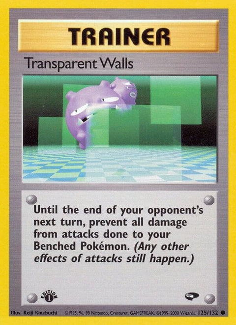 125-transparentwalls