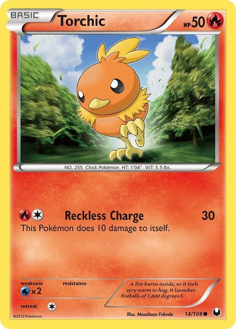 14-torchic