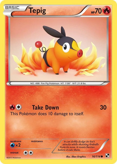16-tepig