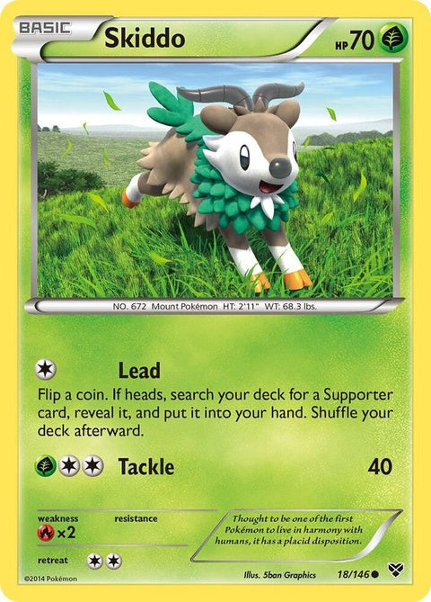 18-skiddo