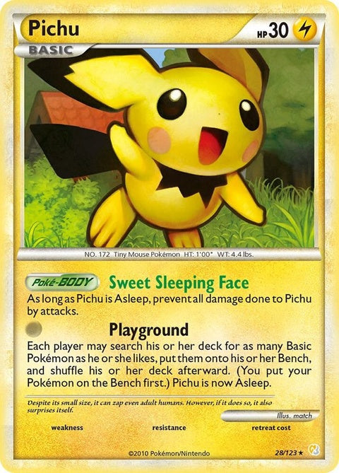 28-pichu