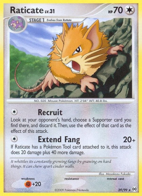 29-raticate