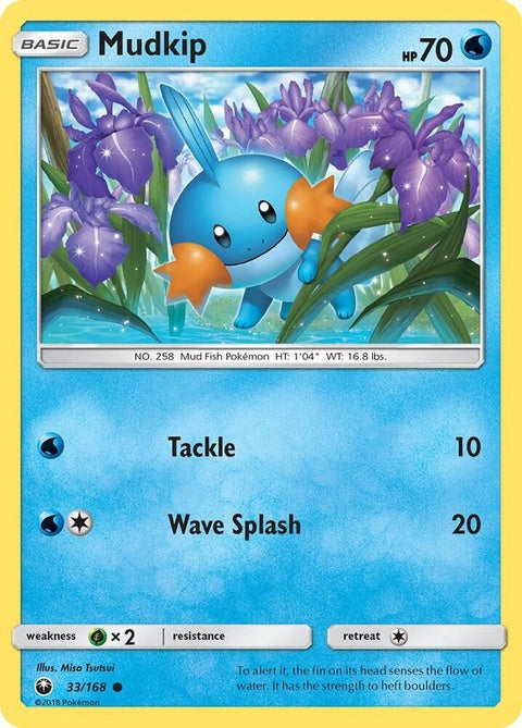 33-mudkip