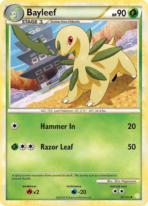 35-bayleef