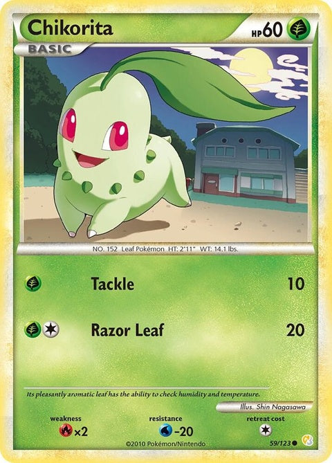 59-chikorita
