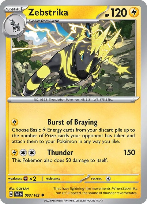 63-zebstrika