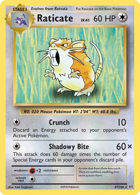 67-raticate