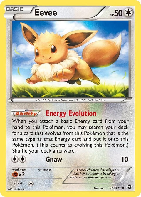 80-eevee