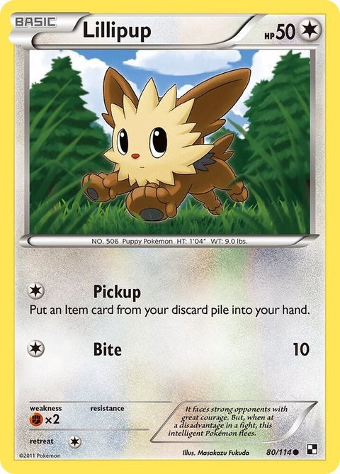 80-lillipup