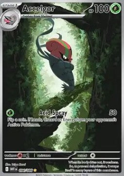 Accelgor - White Flare (Illustration Rare) [WHT-094]