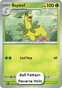 Bayleef - Ascended Heroes: Additionals (Uncommon) [xASC-009]