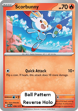 Scorbunny - Ascended Heroes: Additionals (Common) [xASC-036]