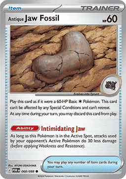 Antique Jaw Fossil - Perfect Order (Common) [POR-068]