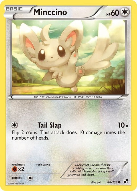 88-minccino