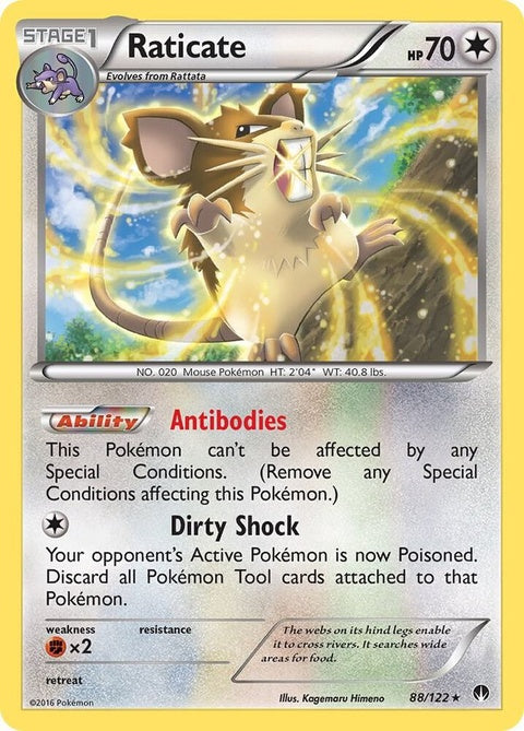 88-raticate