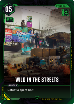 Wild in the Streets