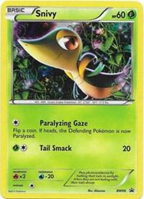 bw06-snivy