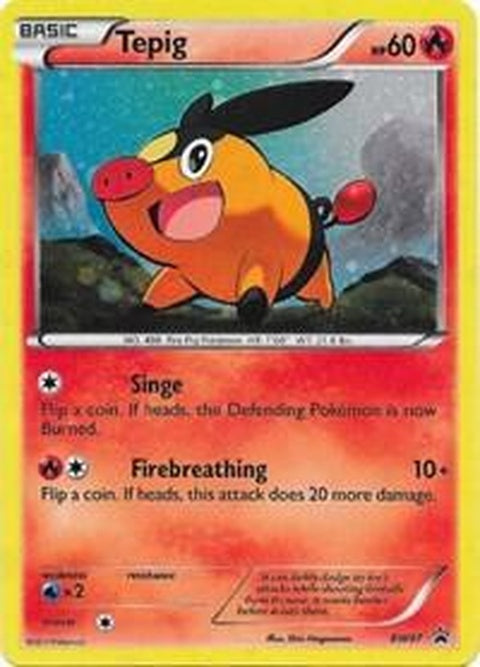 bw07-tepig