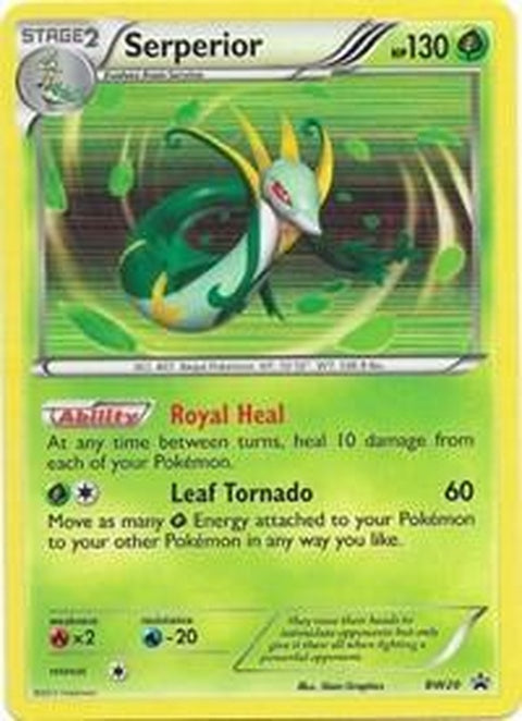 bw20-serperior