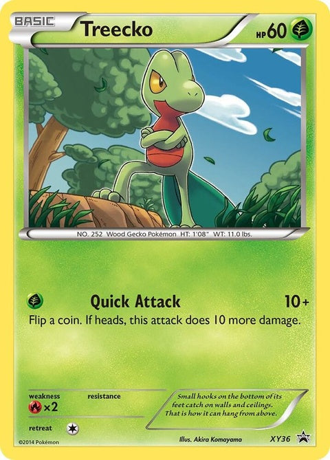 xy36-treecko